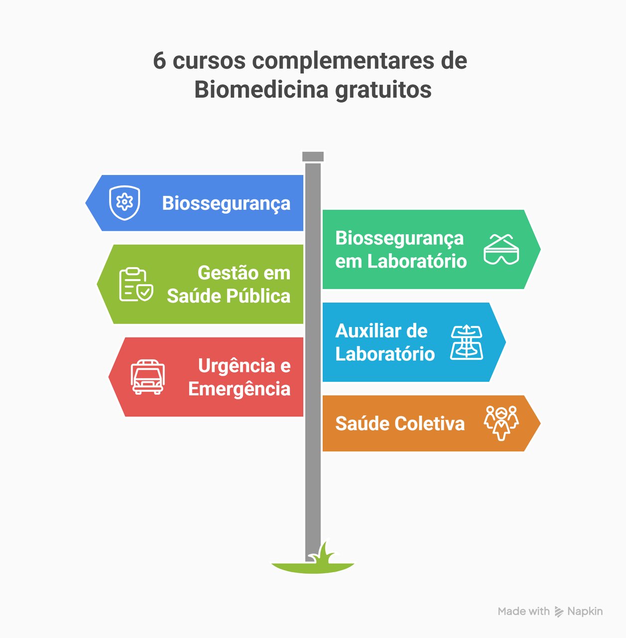 cursos complementares de biomedicina