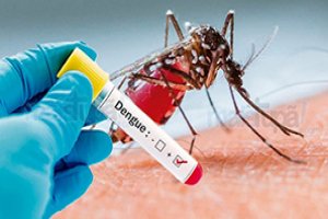 Atualização no Combate Vetorial ao Aedes Aegypti 
